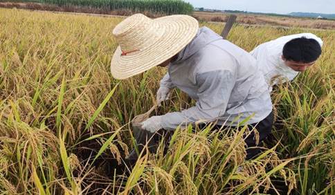 落实立德树人，重视实践育人——亚博官网应用化学2020级1班开展毕业实习活动